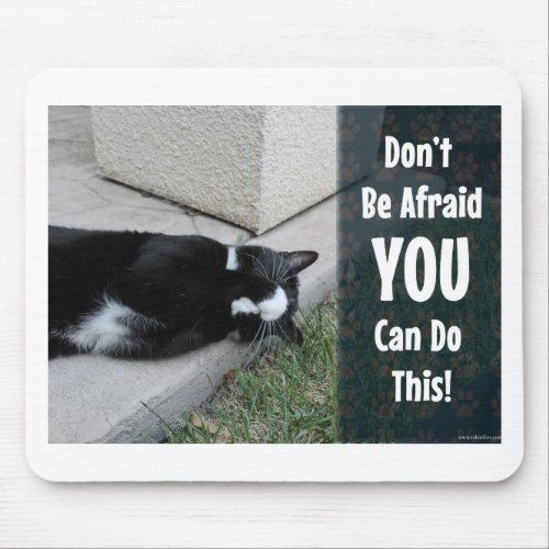 No Fear Kitty Epic Motivational Slogan Photo Mouse Pad