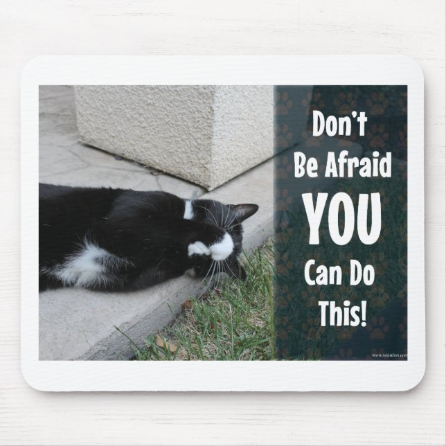 No Fear Kitty Epic Motivational Slogan Photo Mouse Pad (Front)
