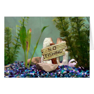 No Fishing! Cards