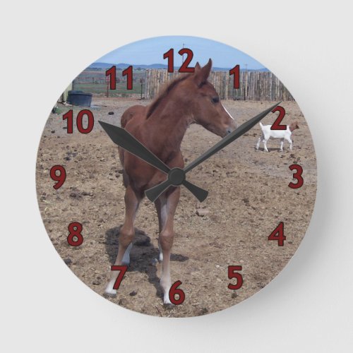 No Foaling Around Round Clock