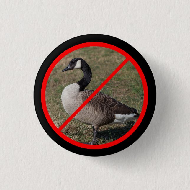 No Geese Allowed Button (Front)