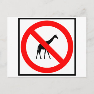 No Giraffes Highway Sign Postcard