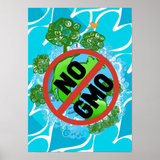 NO GMO POSTER