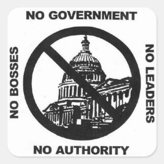 no government sticker