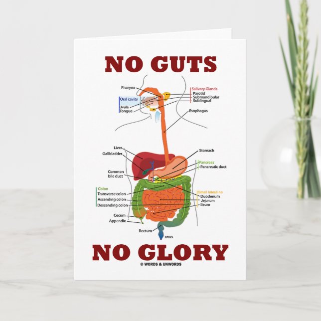 No Guts No Glory (Digestive System Anatomy Humor) Card (Front)
