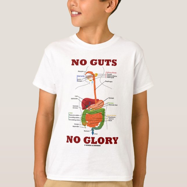 No Guts No Glory (Digestive System Anatomy Humor) T-Shirt (Front)