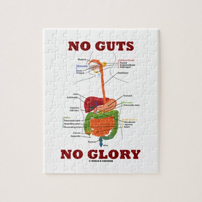 No Guts No Glory (Digestive System Humor) Jigsaw Puzzle (Vertical)