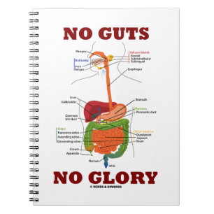 No Guts No Glory (Digestive System Humor) Notebook