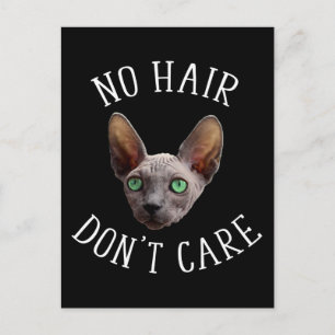 No Hair Don't Care Funny Sphynx Cat Postcard