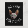 No Hair Don't Care Funny Sphynx Cat Postcard