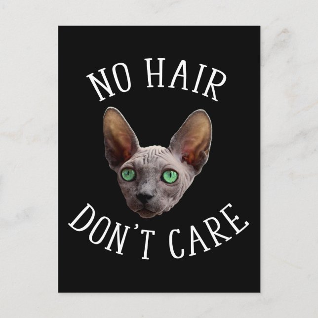 No Hair Don't Care Funny Sphynx Cat Postcard (Front)