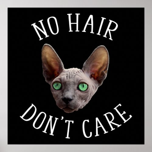 No Hair Dont Care Funny Sphynx Cat Poster