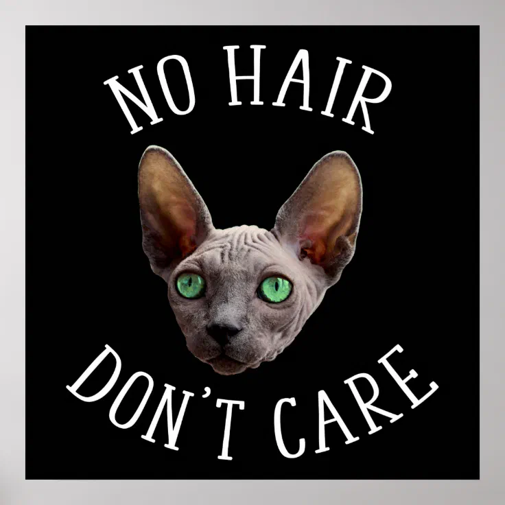 No Hair Don't Care Funny Sphynx Cat Poster | Zazzle