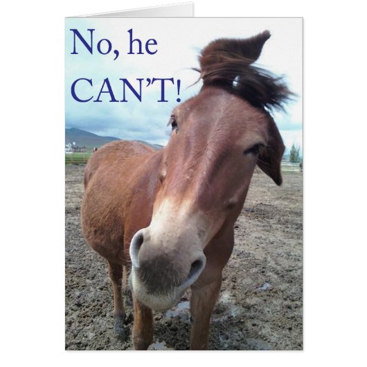 No he CAN'T! Donkey Cards (Front)