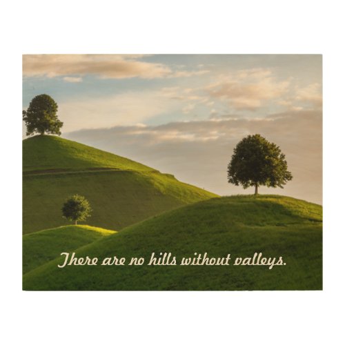 No Hills without Valleys Wood Wall Art