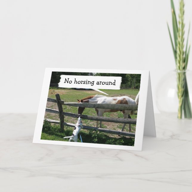 NO HORSING AROUND-IS IT REALLY YOUR BIRTHDAY? CARD (Front)