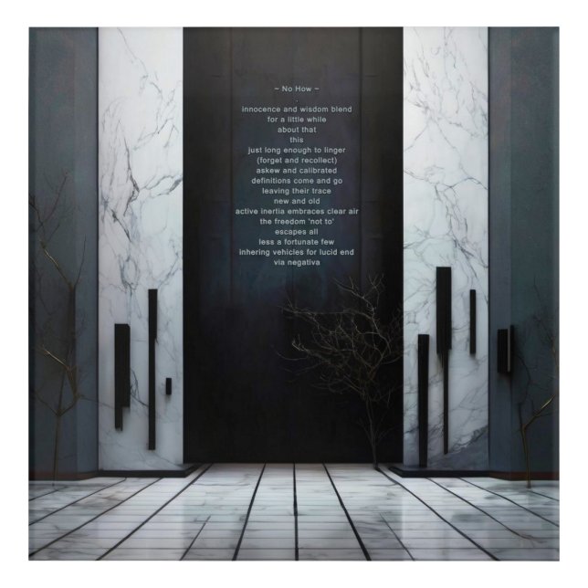 NO HOW Acrylic Wall Art Poem Philosophy Print (Front)