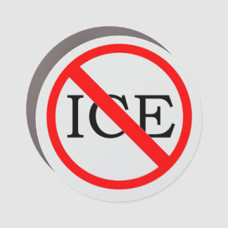"NO ICE" Car Magnet