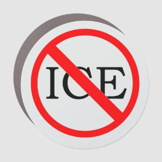 "NO ICE" Car Magnet