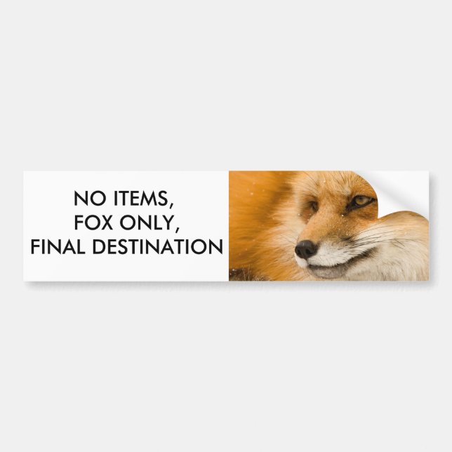 No Items, Fox Only, Final Destination Bumper Sticker (Front)