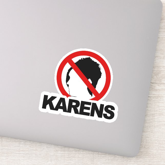 "NO KARENS" Custom Cut Vinyl Sticker (Detail)