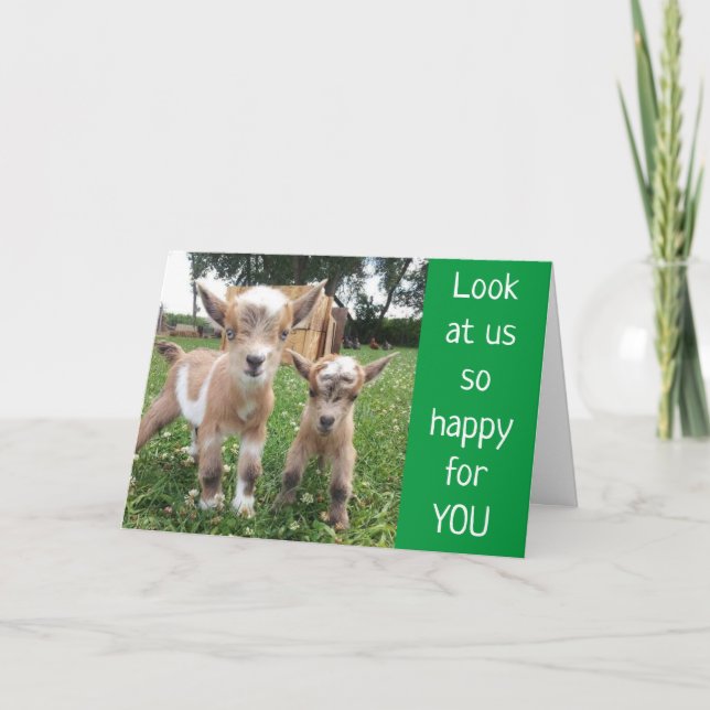 *NO KIDDING AROUND* WISH U BEST BIRTHDAY EVER! CARD (Front)