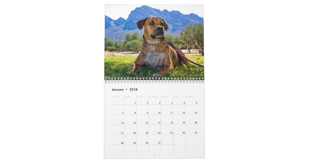 No Kill Pima County Calendar 2014 Zazzle