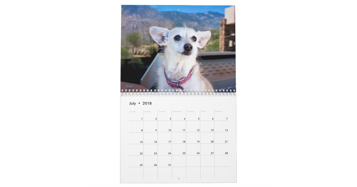 No Kill Pima County Calendar 2014 Zazzle