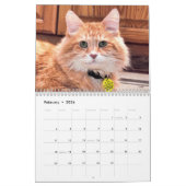 No Kill Pima County Calendar 2014 