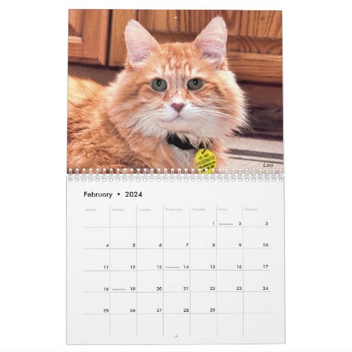 No Kill Pima County Calendar 2014 Zazzle