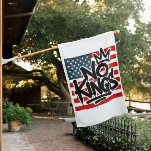 No Kings In America Save Democracy I Dissent Anti  House Flag