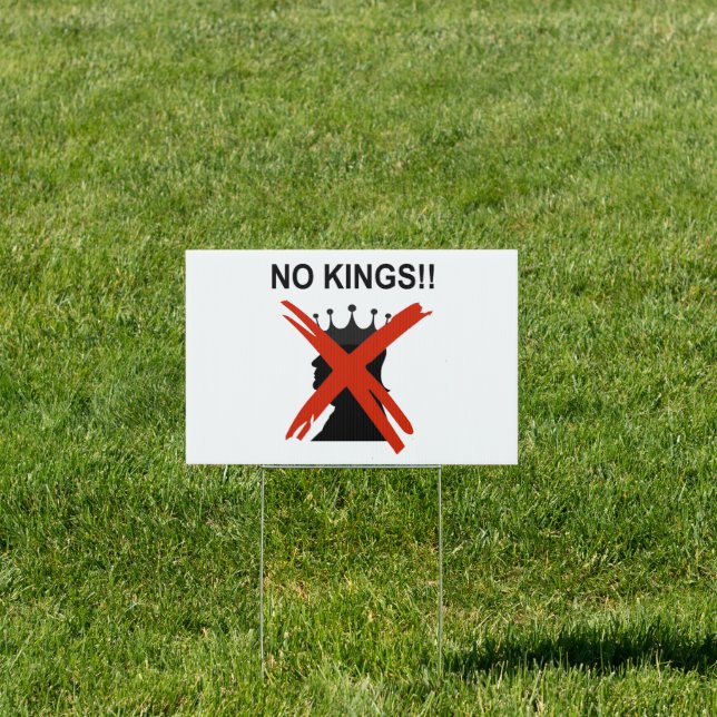 NO KINGS SIGN (Insitu)