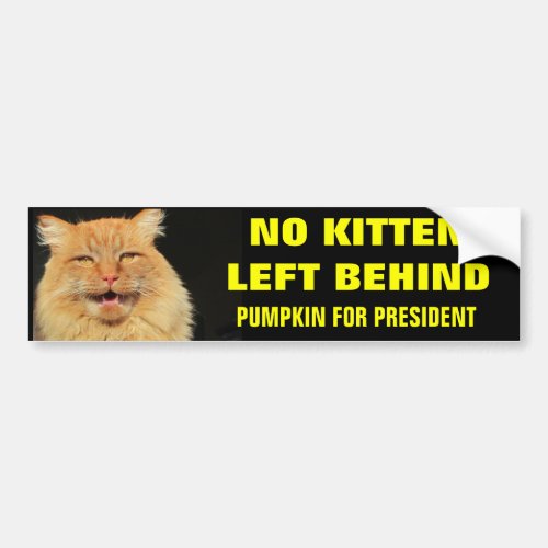 No Kitten Left Behind_ Bold Bumper Sticker