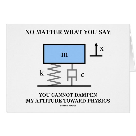 No Matter What You Say You Cannot Dampen Physics (Front Horizontal)
