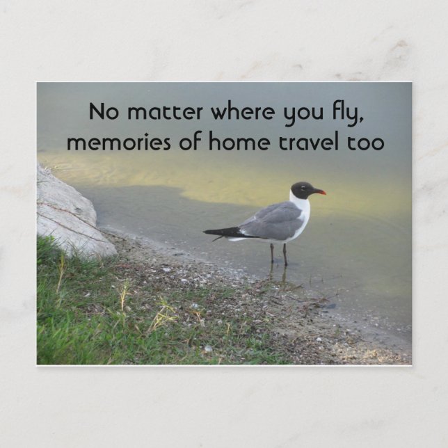 No Matter Where You Fly – 4.25” x 5.6” Postcard (Front)