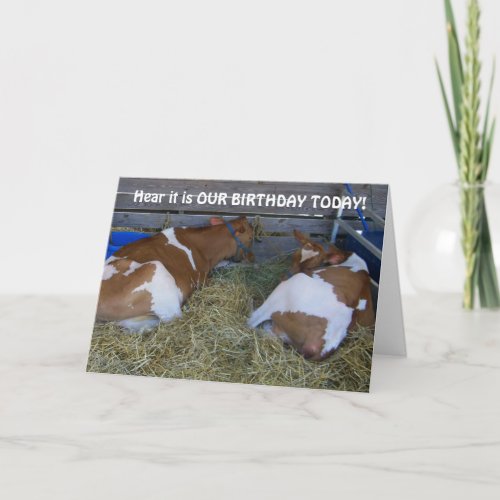 NO MOO_A COUP_SHARING BIRTHDAYS CARD