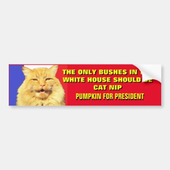 No More Bush Pumpkin For President 2020 Bumper Sticker by talkingbumpers at Zazzle