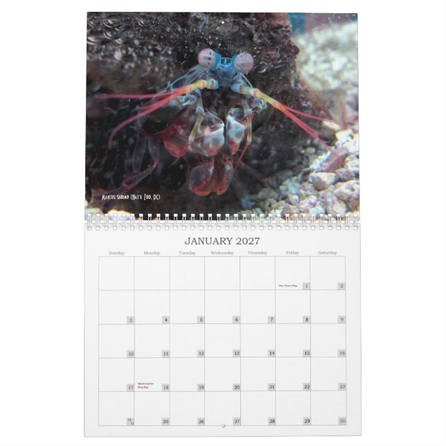 "No More Charismatic Megafauna!" - calendar (Jan 2027)