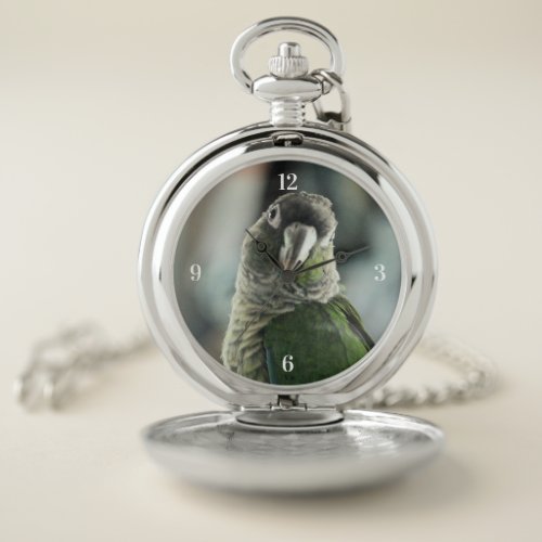 No more mock hedgehog pocket watch