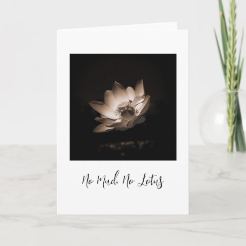 no mud no lotus original photography card