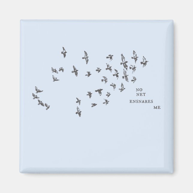 "No net ensnares me" + birds (black on pale blue) Magnet (Front)