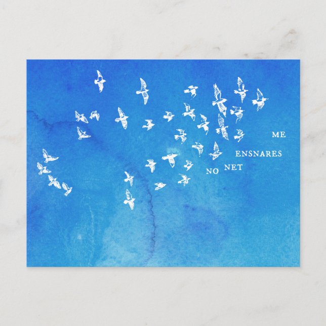 "No net ensnares me" + birds (white on blue) Postcard (Front)