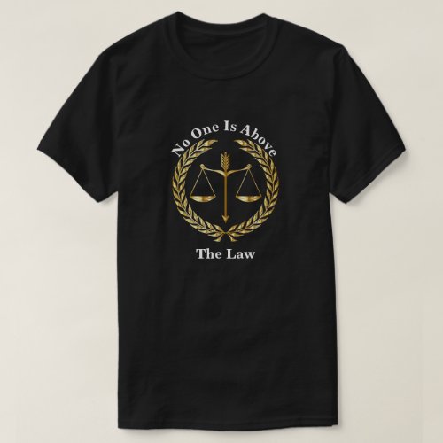 No One Is Above The Law T_Shirt