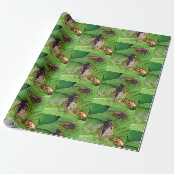 No One Is Perfect Crinkled Wing Cicada Wrapping Paper by WackemArt at Zazzle