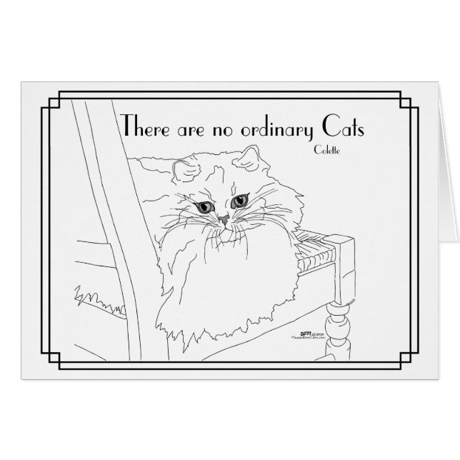 No Ordinary Cats Cards (Front Horizontal)