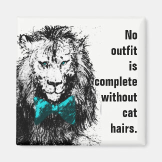 No Outfit is Complete Without Cat Hairs Magnet