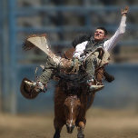 " NO PAIN - NO GAIN " ! Stretched Canvas Print<br><div class="desc">" NO PAIN - NO GAIN " ! Stretched Canvas Print, ( LARGE )40X55" If you love action Rodeo event riding, bronco riding is the 8 second riding event that puts the competition and experience of horse and rider to see if the rider can stay on the bucking horse which...</div>