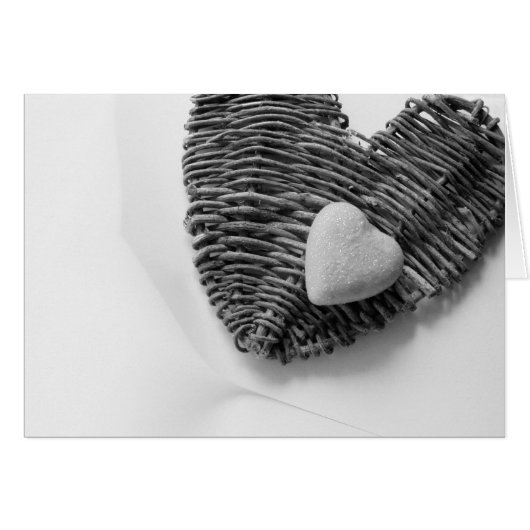 no passion (Front Horizontal)