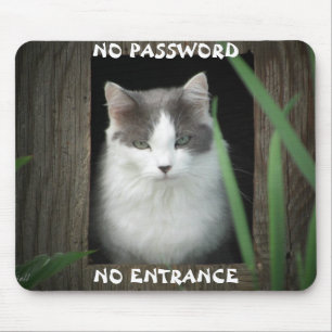 No Password No Entrance Meme Mouse Pad