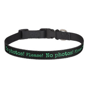 No photos please – Dog Collar – Hundehalsband neon